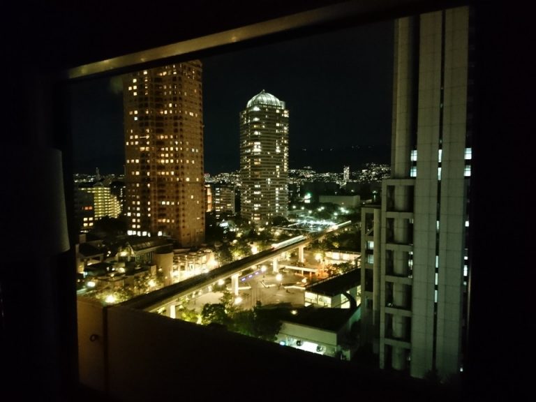 客室からの眺望(夜)