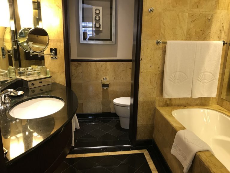 バスルーム入口から見たところです。トイレと洗面エリアを区切る扉はありません。