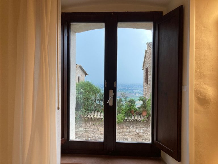 客室からの眺望