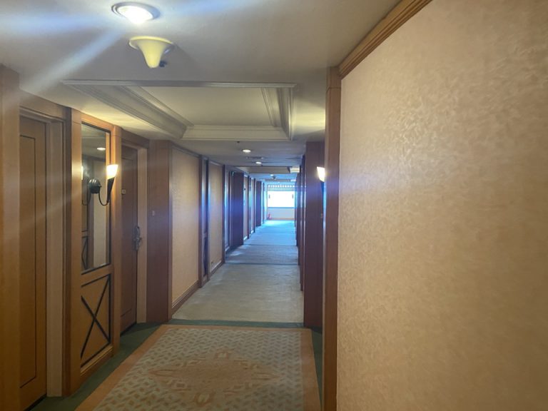 客室入り口付近廊下