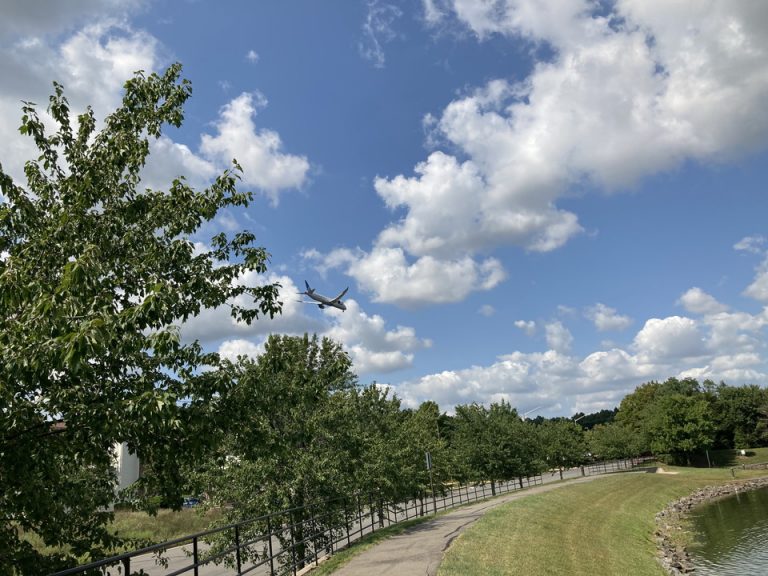 ホテル敷地内庭2