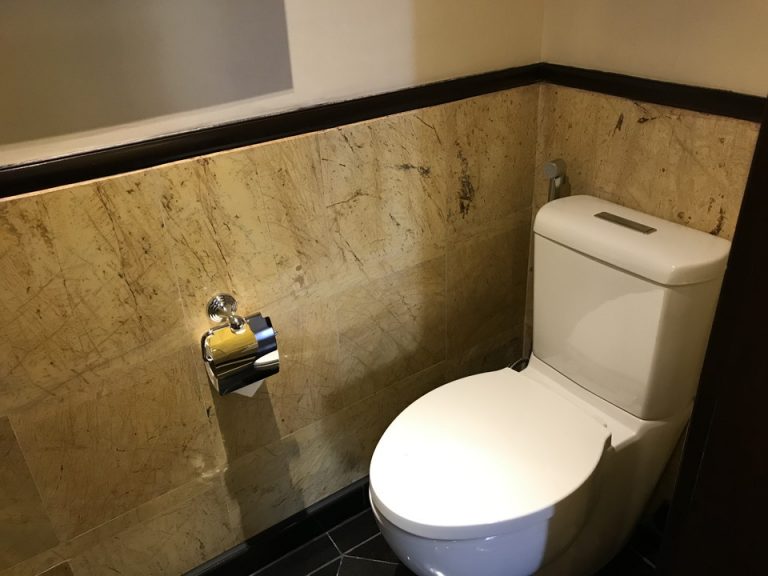 トイレは洗面、バスエリアの奥にあります。トイレの紙は柔らかいです。