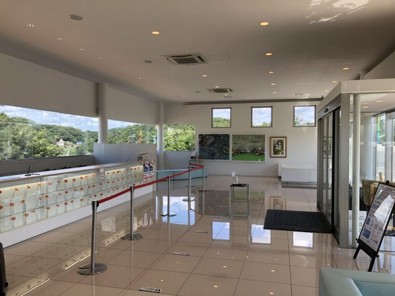 ガラス貼りでとても開放感があります。(1)