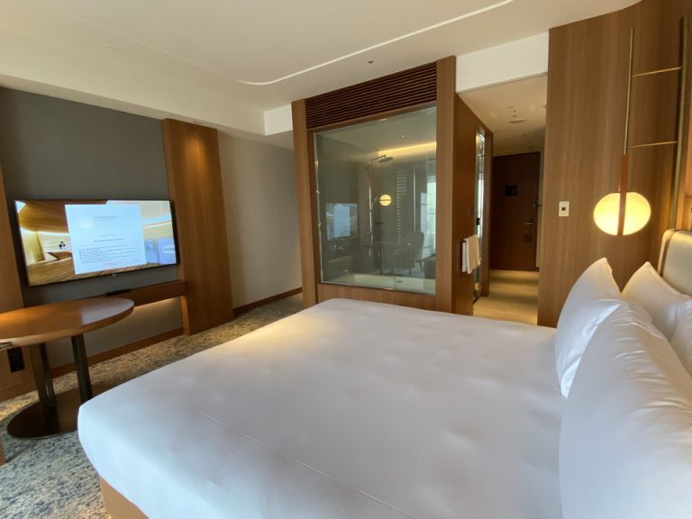 客室全体(入口方向)(1)