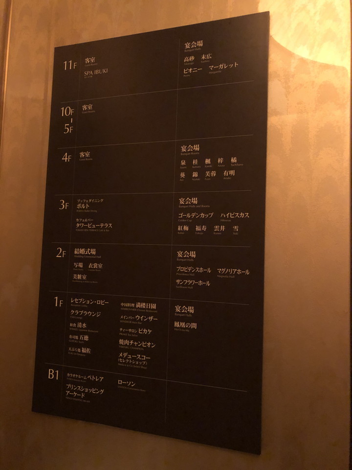 エレベーター内観(2)