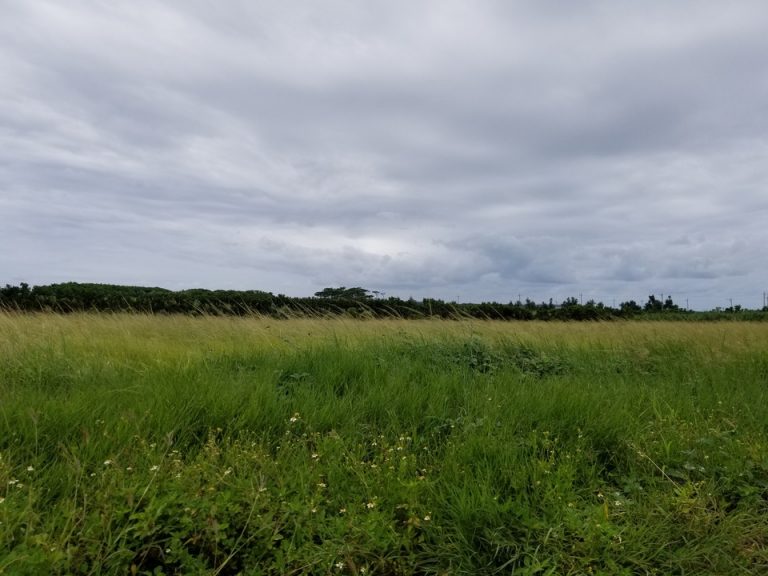 建物も見当たりません