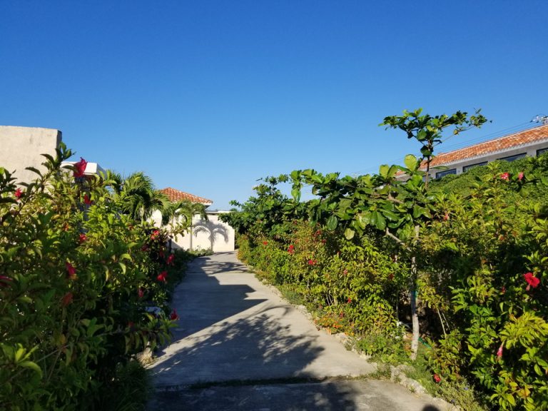 ロビー棟とヴィラの間の小道