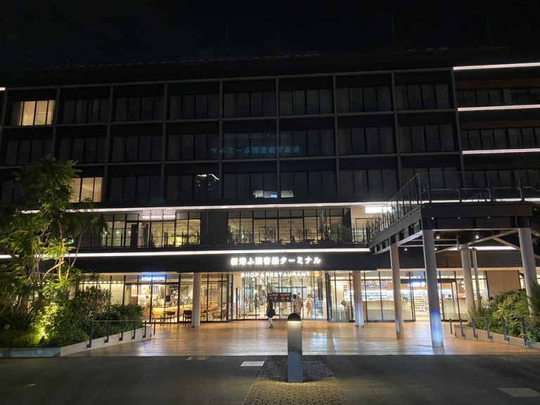 ハンマーヘッド