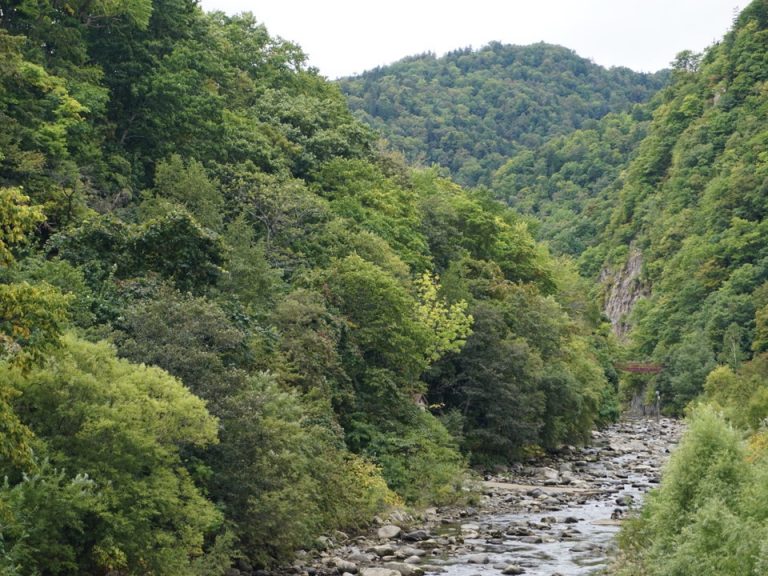 近くの定山渓の自然