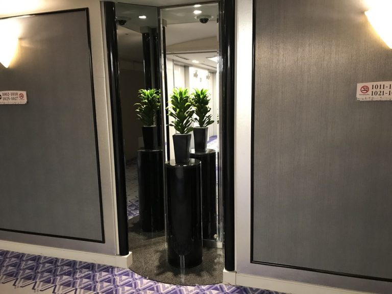 ⑧客室階エレベーター降りたところ