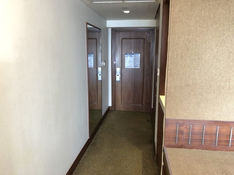 客室入り口内観ドア3