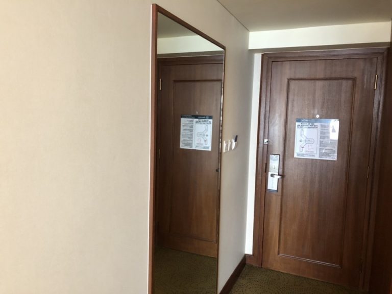 客室入り口内観ドア2