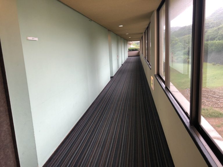 客室入口付近廊下