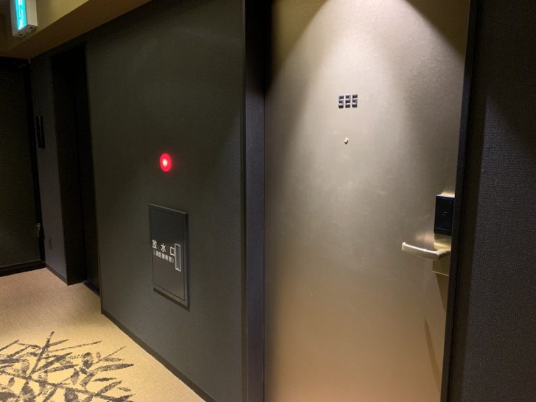 客室入口付近廊下