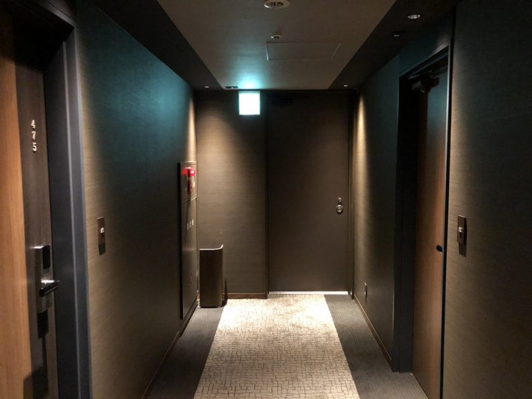 客室入口付近廊下