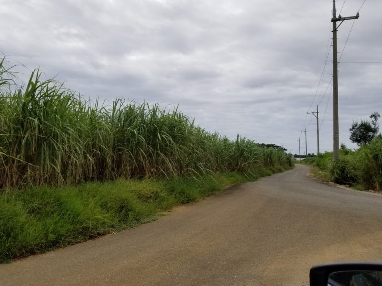 ホテルを出たところの大通り。