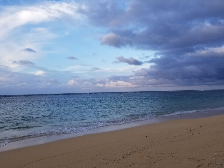 シーグラスや綺麗な貝殻がたくさんありました