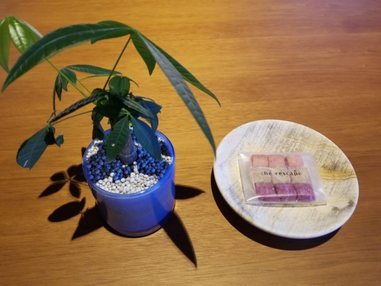 机にはクッキーがありました