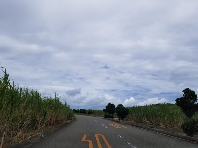 ホテルの周りは本当に何もありません