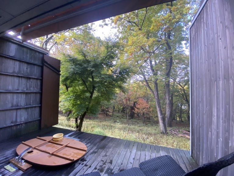 部屋からはお庭が見えます