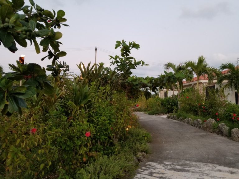 薄暗くなるとたいまつに火がつきました