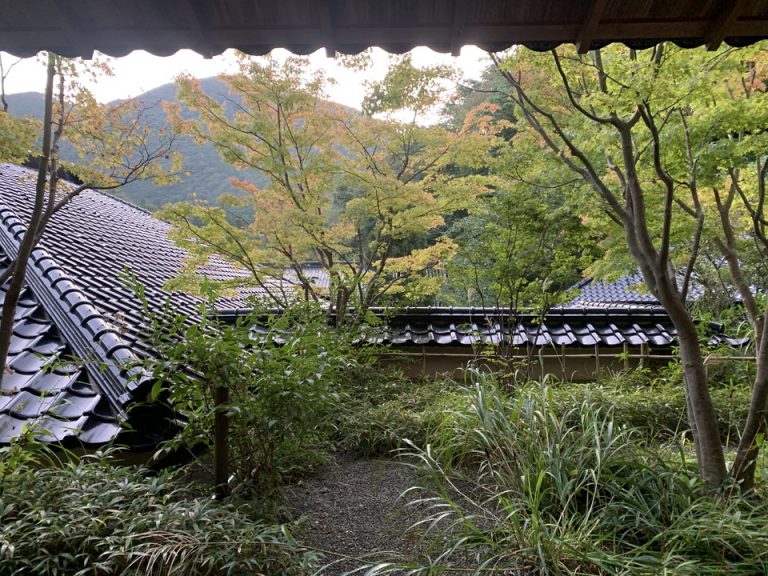 部屋からの眺望