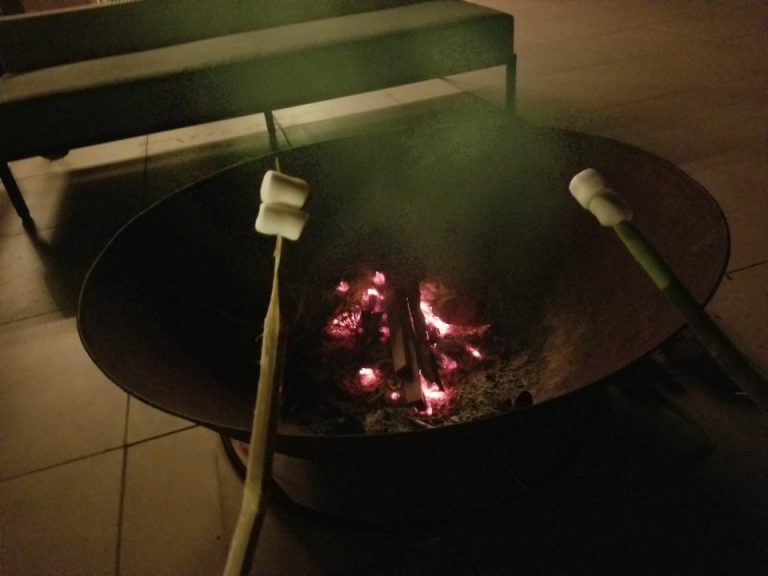 大きい竹串に刺さったマシュマロを頂きました