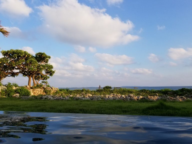 プールから外の眺め