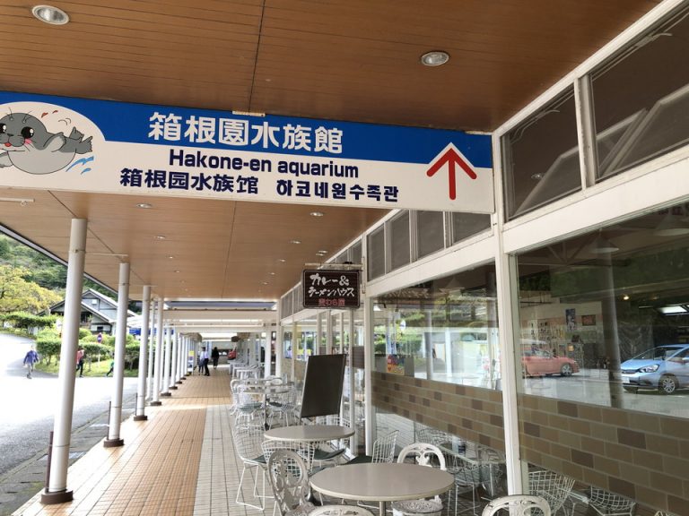 箱根水族園への道