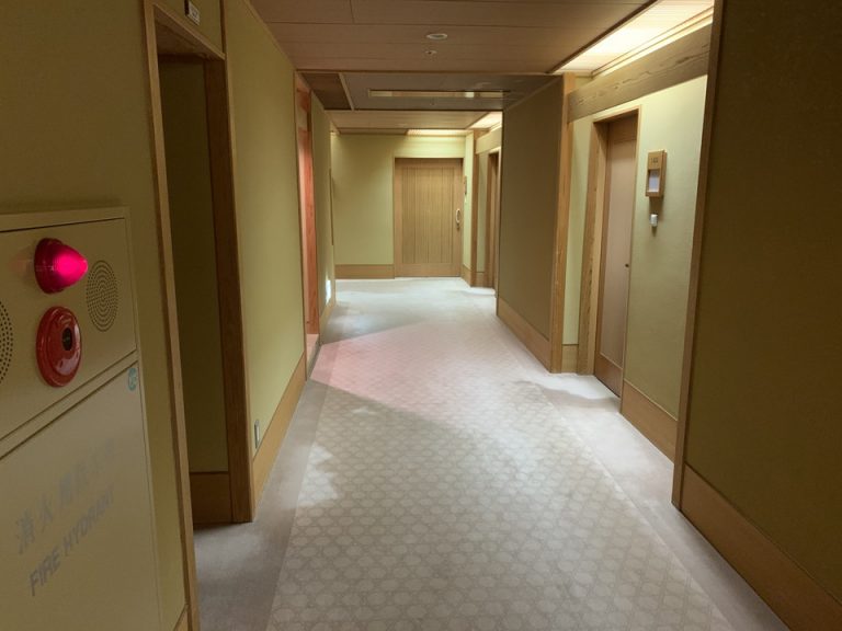 客室入り口付近廊下