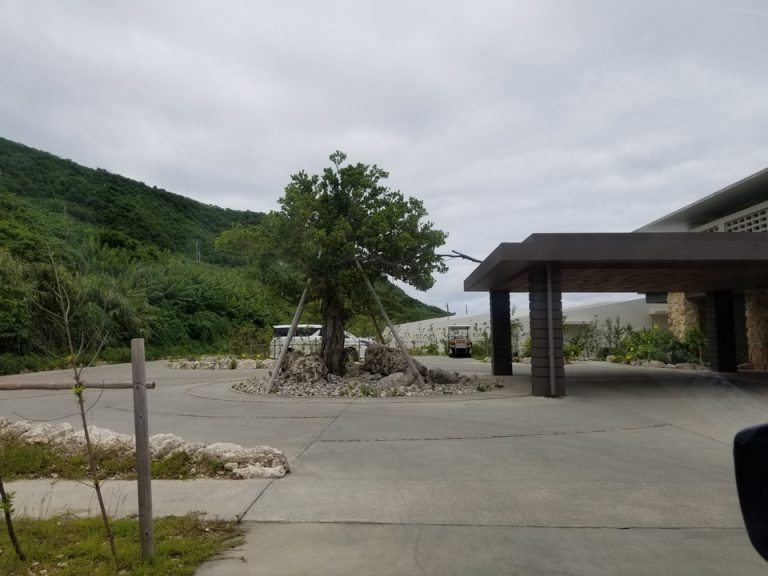 エントランスと駐車スペース