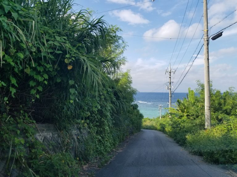 ホテルの敷地内。まだホテルは見えません!海がきれい