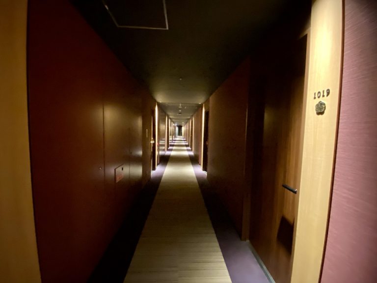 客室廊下全体 (2)