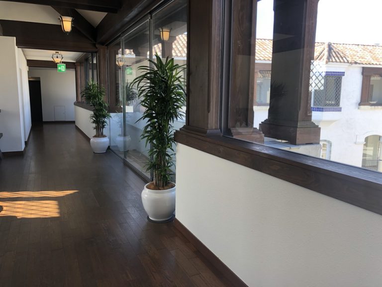 客室廊下全体①