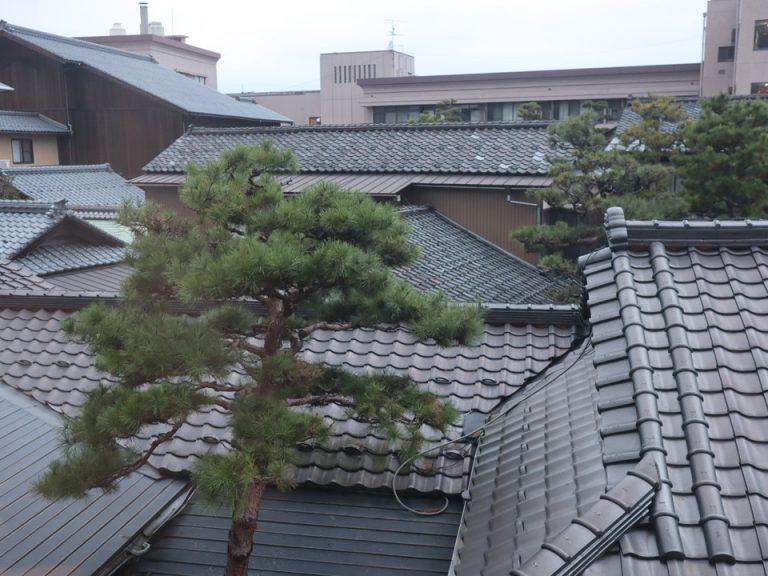 客室の窓から見た景色