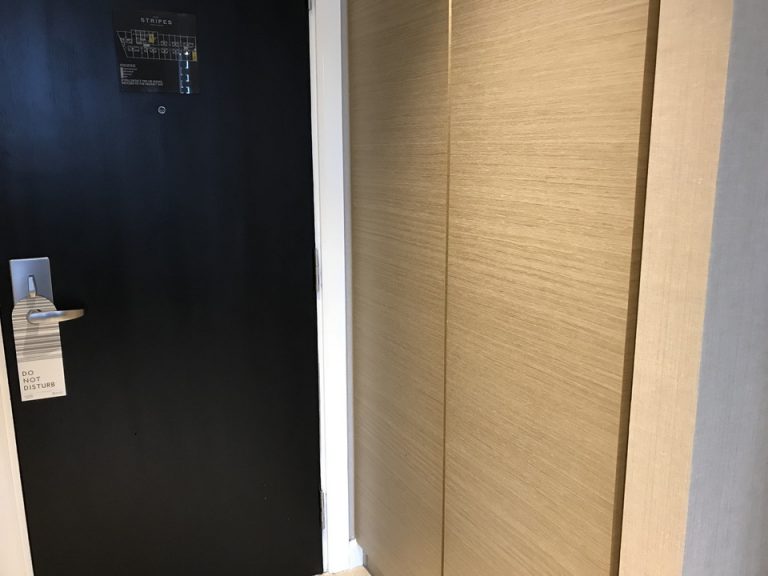 クローゼット外側(閉じた状態)クローゼットは入口ドア入ってすぐの位置にありました。