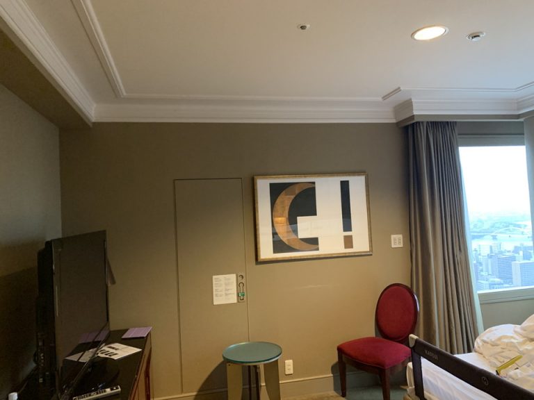 客室全体(窓際方向)2