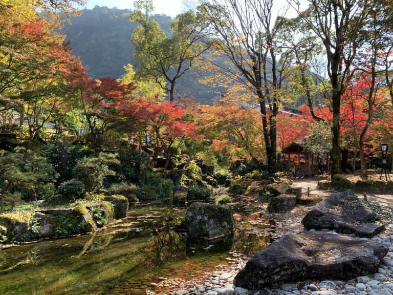 旅館から徒歩10分弱にある岐阜公園内の紅葉