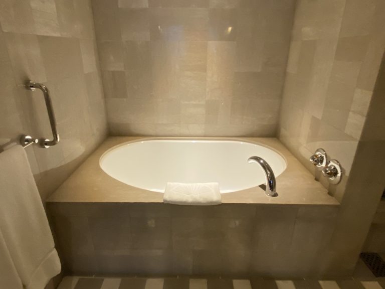 バスルーム入口から全景