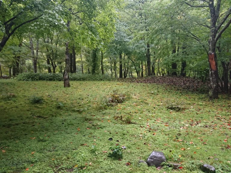 客席からの眺め