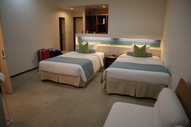 客室全体(窓際方向)(1)