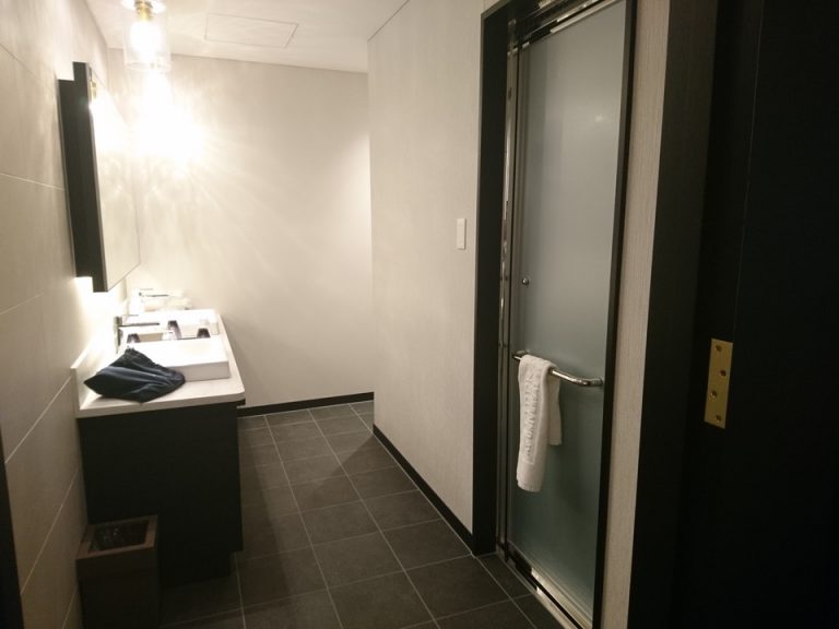 バスルーム入口からの全景