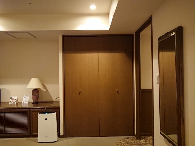 クローゼット外観(閉じた状態)