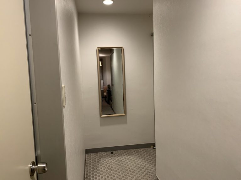 客室全体(入り口方向)