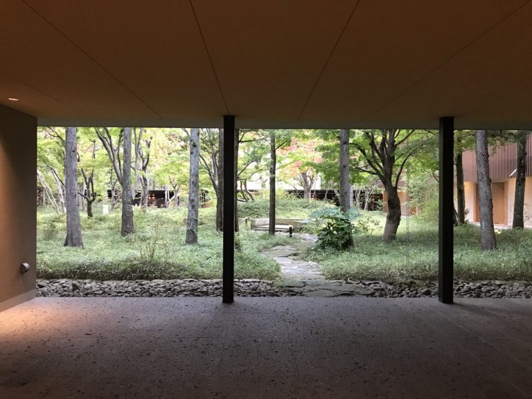 静かな庭が見える