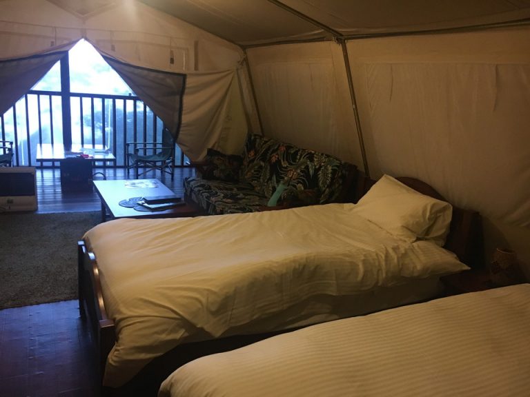 客室全体(窓方向)