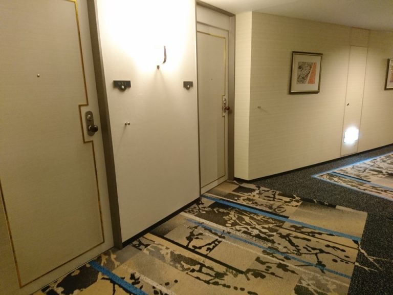 客室入口付近廊下