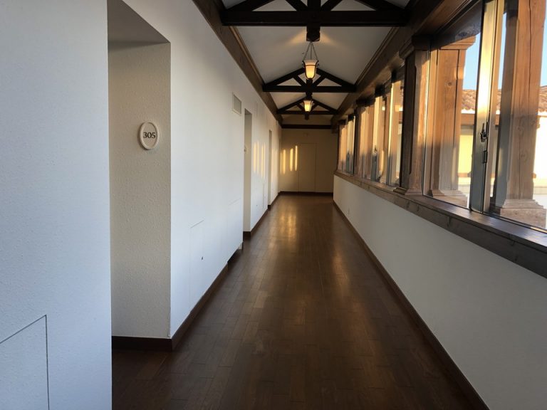 客室入口付近廊下