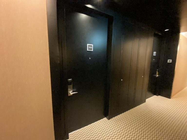 客室入口付近廊下