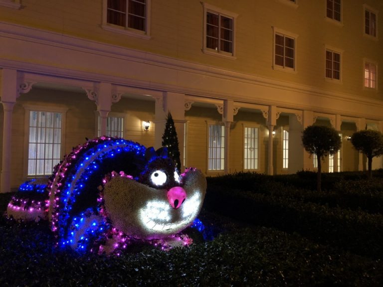 中庭のイルミネーション